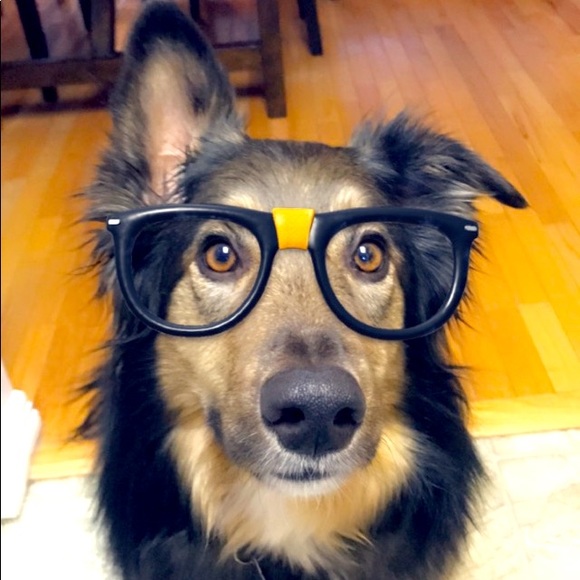 Meet your Posher, Dave - Picture 1 of 1